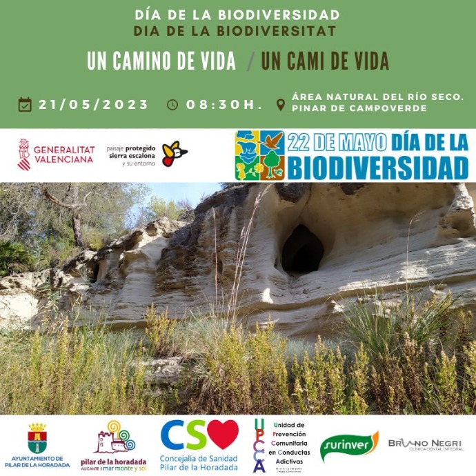 INSCRIPCIONES RUTA DE SENDERISMO HACIA LA "FUENTE DEL SISCAR" EN PINAR DE CAMPOVERDE CON MOTIVO DEL DÍA DE LA BIODIVERSIDAD- UN CAMINO DE VIDA