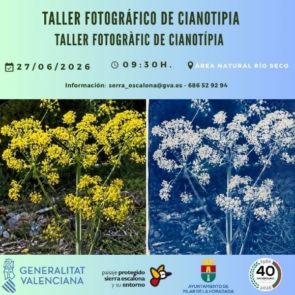 cartel taller fotográfico de cianotipia