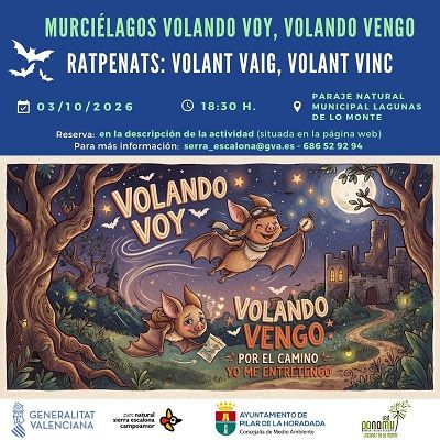 Cartel murcielagos volando voy, volando vengo